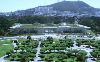 Architect Renzo Piano is a Master of Light and Landscape