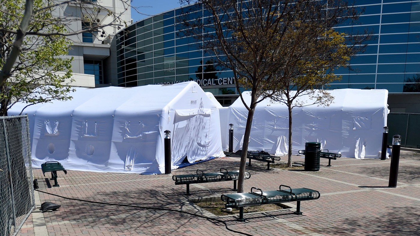 architectural structures designed during the quarantine