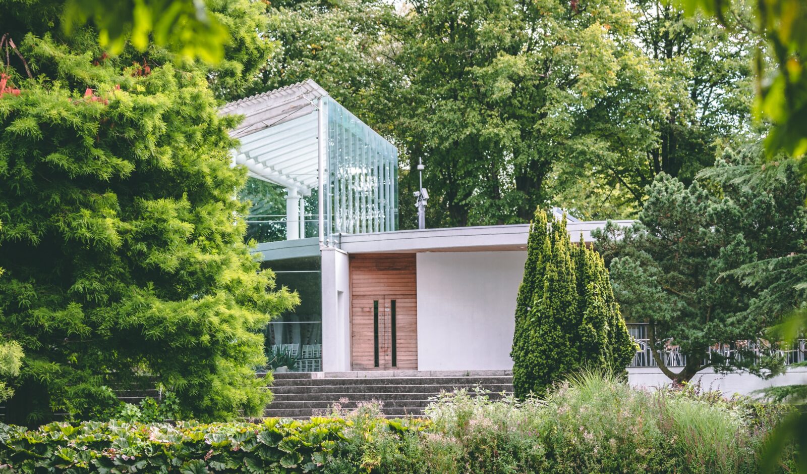 Wood Modern Front Door