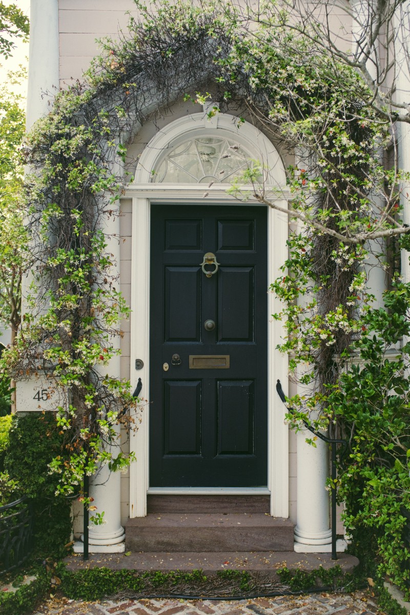front door with plants